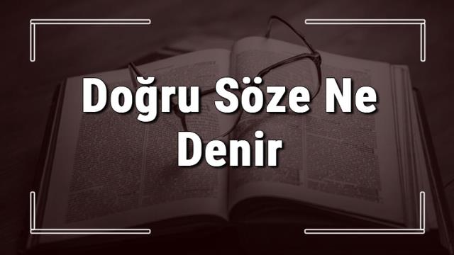 Tavuğun gezeninden balığın yüzeninden