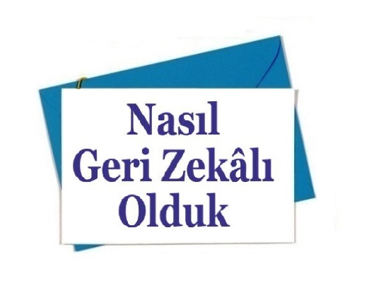 Nasıl Geri Zekâlı Olduk