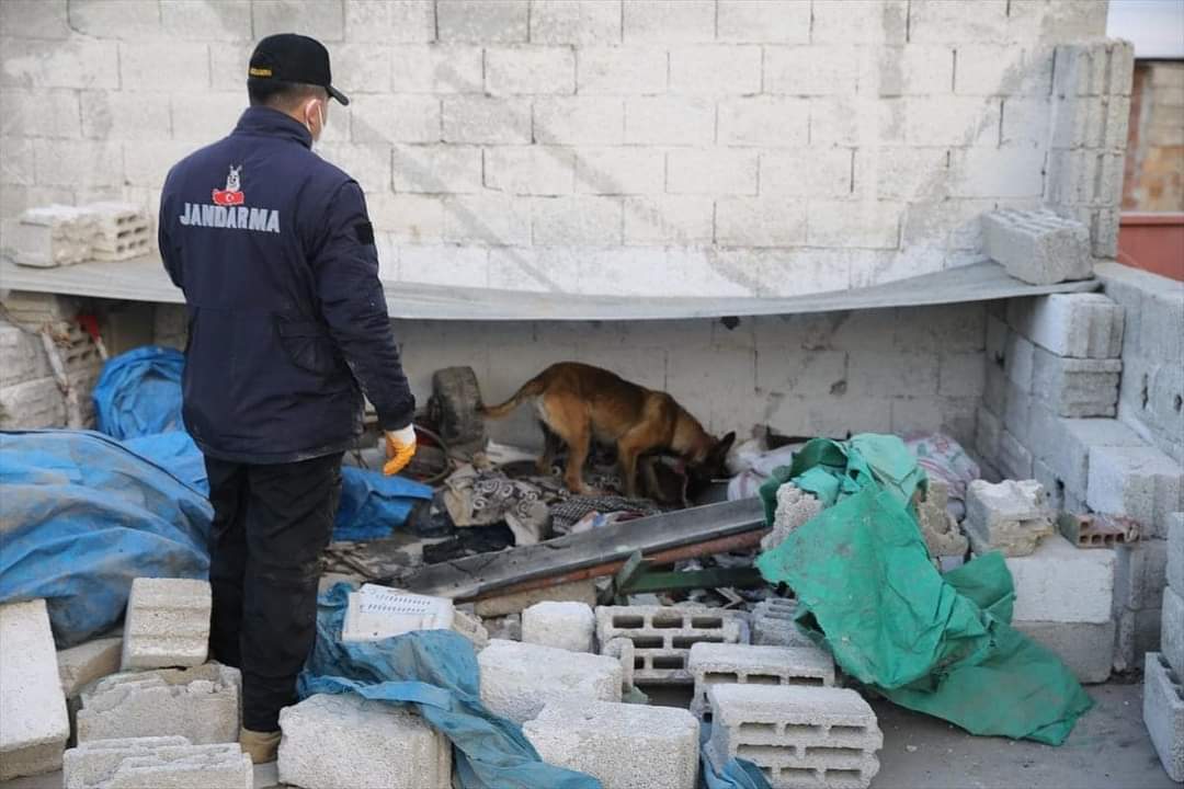 Şanlıurfada uyuşturucu operasyonunda 20 zanlı