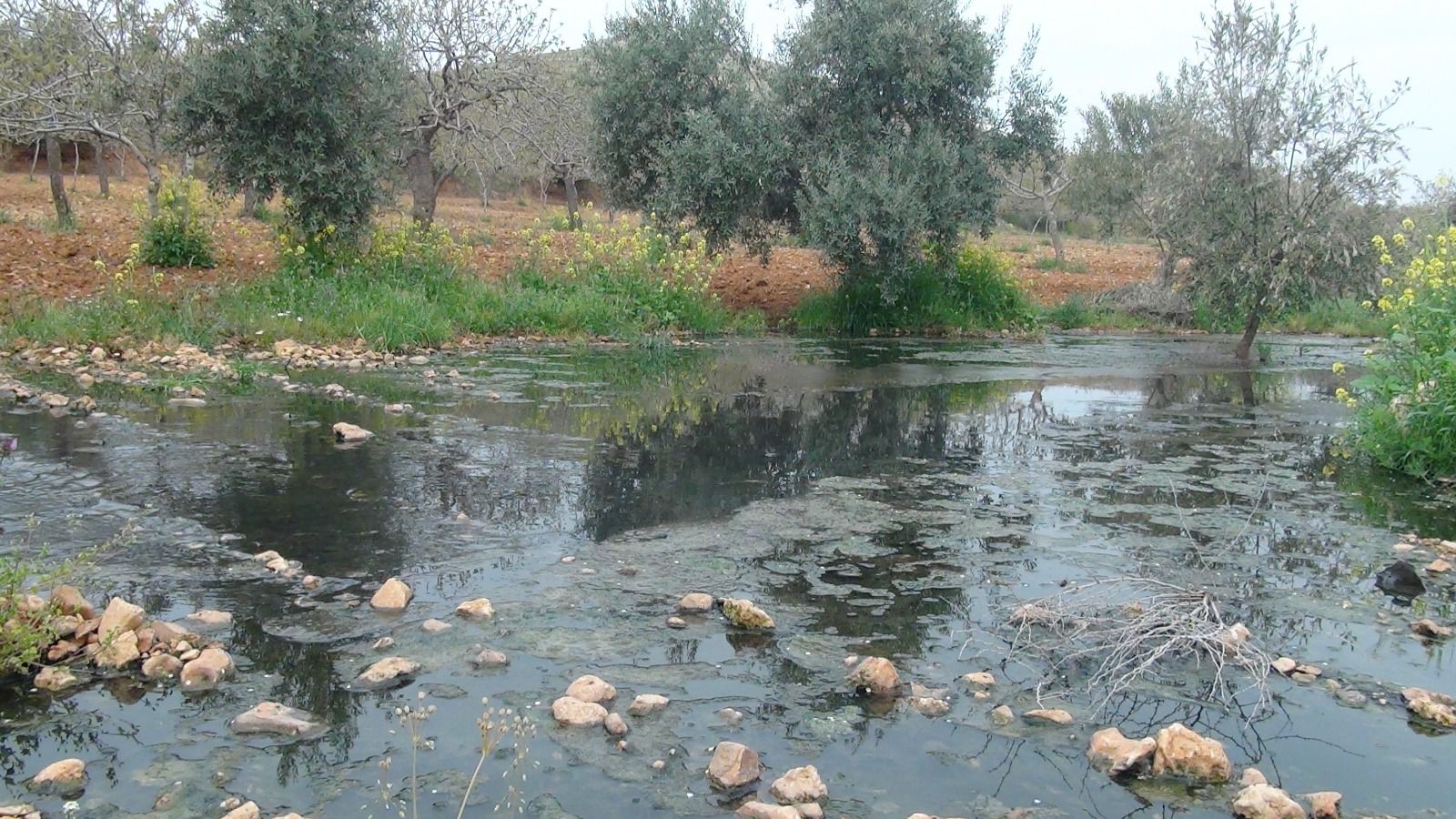 TURİSTİK İLÇE HALFETİ’DE KANALİZASYON